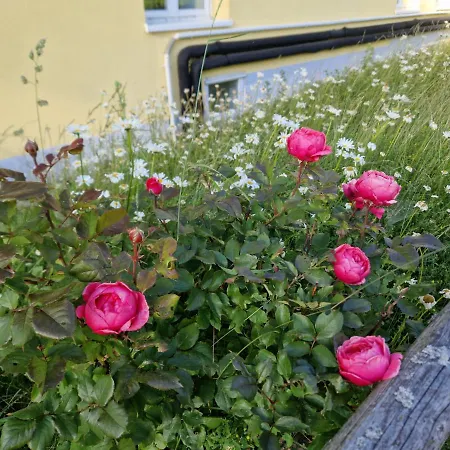 Paeitara Hof Vakantiehuis