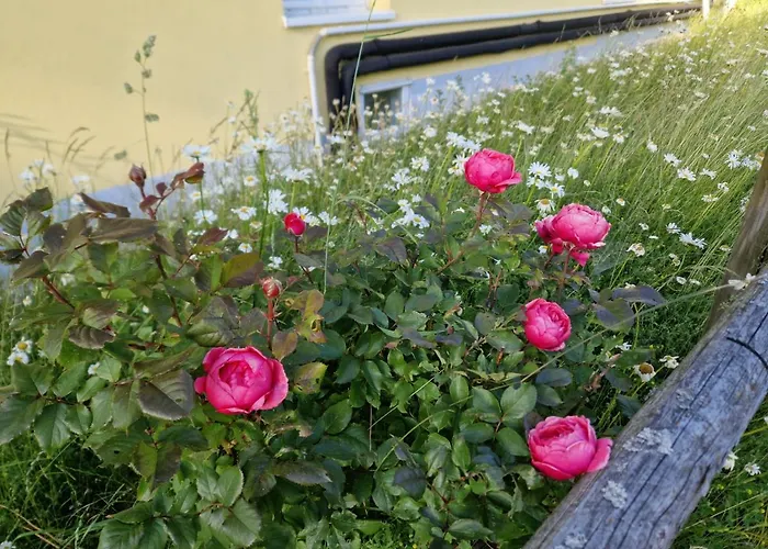 Paeitara Hof Dom wakacyjny